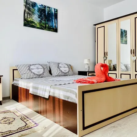 Andreea Apartament Appartamento *